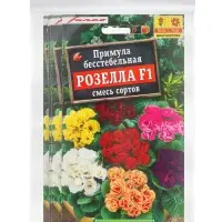 Набор семян Примула &laquo;Розелла&raquo;, смесь окрасок, F1, 4 шт., &laquo;Мой выбор&raquo;