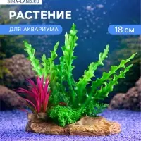 Растение искусственное для аквариума, 18 см, на платформе в виде коряги, зелёное