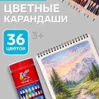 Карандаши 36 цветов, трехгранные, деревянные &laquo;Морские обитатели&raquo;, в металлическом тубусе