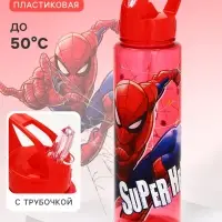 Бутылка для воды-непроливайка пластиковая с трубочкой &laquo;Супергерой&raquo;, 750 мл