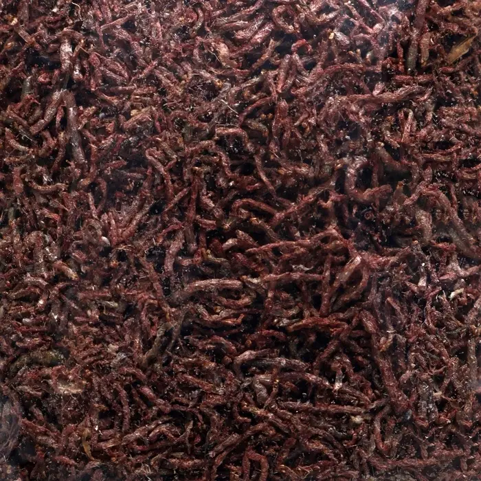 Корм для рыб &laquo;Пижон&raquo; мотыль, 10 г