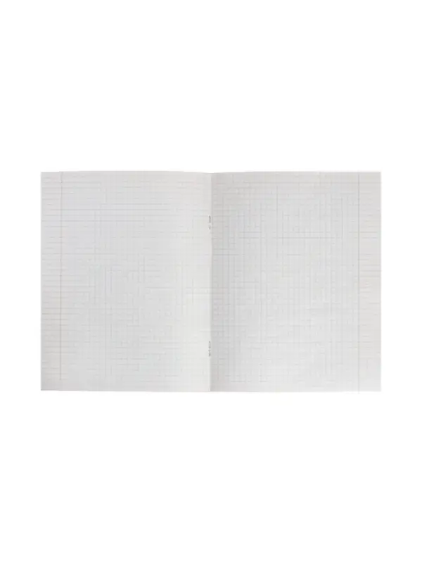 Тетрадь предметная 48 листов в клетку Calligrata &laquo;3D. География&raquo;, серые листы