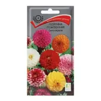 Семена цветов Георгина "помпонная Смесь окрасок" 0,3 г Семена цветов Георгина "помпонная Смесь окрасок" 0,3 г