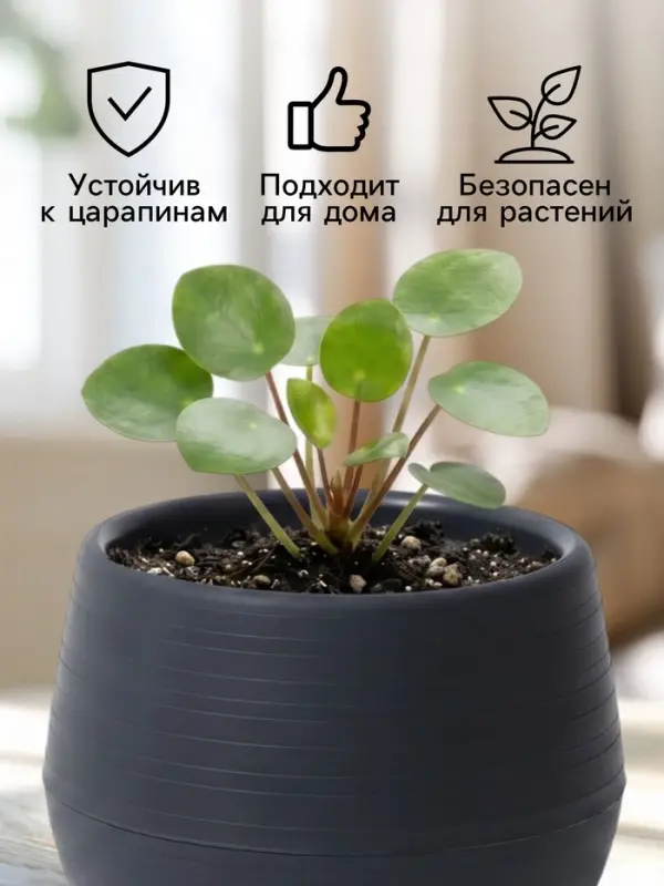 Горшок цветочный &laquo;Япония&raquo;, 450 мл, d=12 см, h=10 см, пластиковый, с поддоном, графитовый