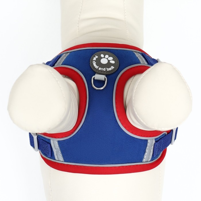 Комплект Sport+, S, поводок 150 x 1,5 см, ОШ 39-41 см, ОГ 44-48 см, вес животного 7-13 кг, синий 96 Комплект Sport+, S, поводок 150 x 1,5 см, ОШ 39-41 см, ОГ 44-48 см, вес животного 7-13 кг, синий 96