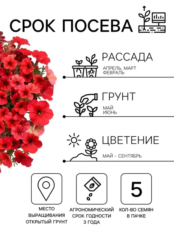 Семена Цветов Петуния &laquo;Изи вейв&raquo; F1, берри велюр, пробирка, 5 шт.