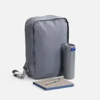 Набор Flexpen Travel, серый с синим