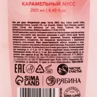 Гель для душа женский &laquo;Моменты нежности&raquo;, 250 мл, аромат карамельного мусса, Чистое счастье
