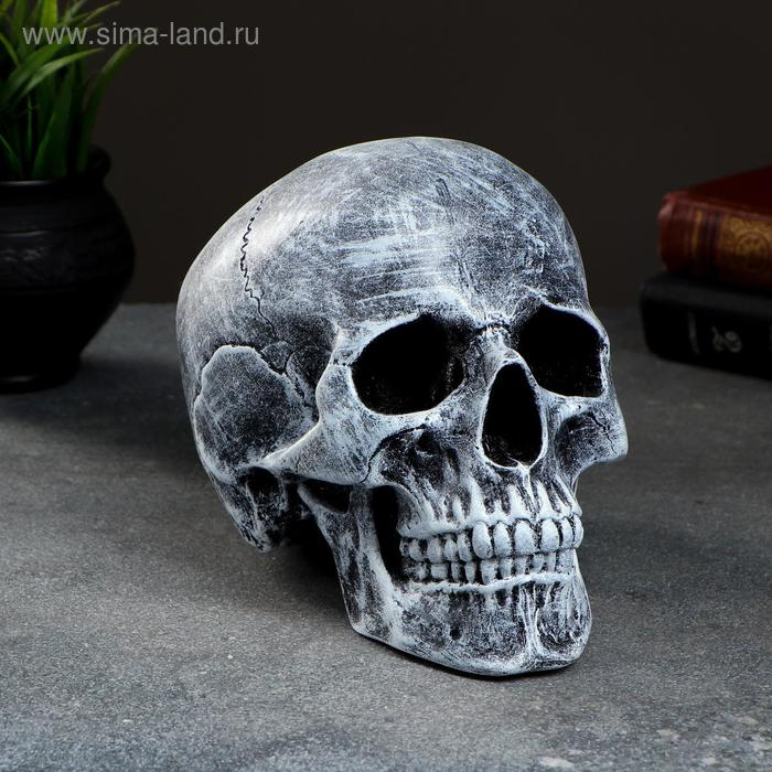 Копилка  Копилка "Череп" 16х13х22 см