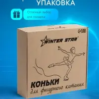 Коньки фигурные Winter Star Basic, размер 38