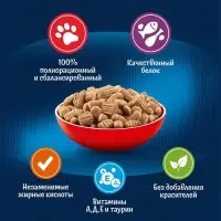 Сухой корм Felix &laquo;Двойная вкуснятина&raquo; для кошек, мясо, 1.3 кг