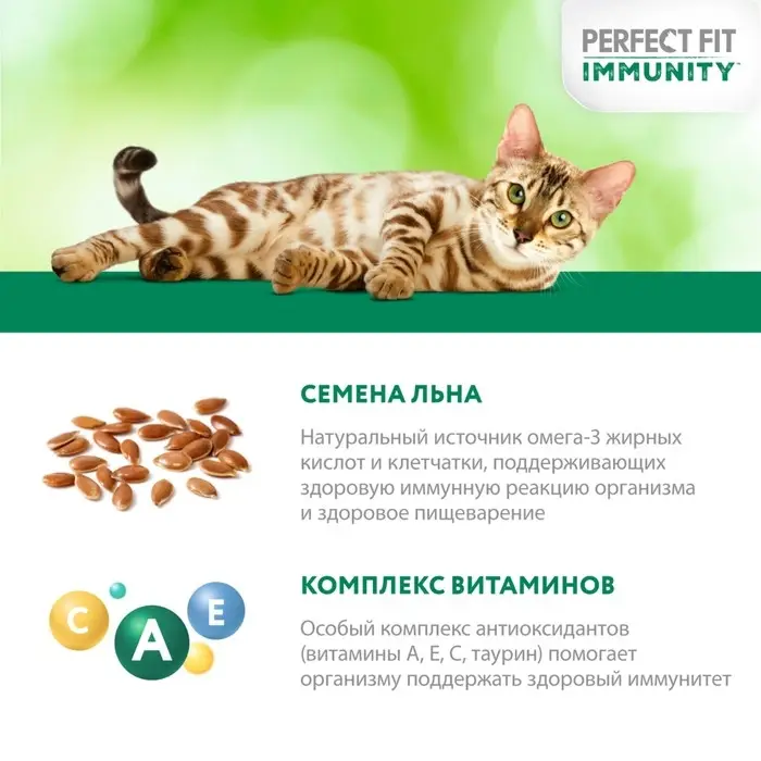 Влажный корм Perfect Fit иммунитет для кошек, говядина, лён, пауч, 75 г Влажный корм Perfect Fit иммунитет для кошек, говядина, лён, пауч, 75 г