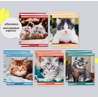 Комплект тетрадей из 10 штук, 12 листов в клетку Calligrata "Котята", обложка мелованный картон, ВД-лак, блок офсет, 5 видов по 2 штуки