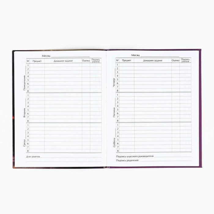 Дневник школьный для 1-11 класса, в интегральной обложке, 40 л. «1 сентября:Котёнок балерина» Дневник школьный для 1-11 класса, в интегральной обложке, 40 л. «1 сентября:Котёнок балерина»