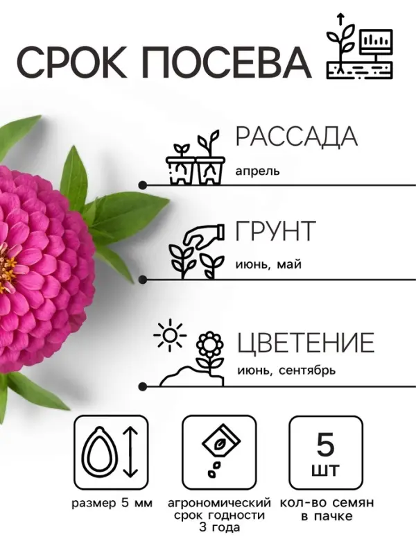 Семена цветов Цинния &laquo;Лилипут&raquo; смесь, 0.2 г, &laquo;Рецепты дедушки Никиты&raquo;