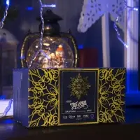 Гирлянда &laquo;Бахрома&raquo; 3&times;0.6 м, IP44, УМС, прозрачная нить, 160 LED, свечение синее, 220 В