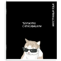 Тетрадь предметнaя ИНОСТРАННЫЙ ЯЗЫК 'КОТЫ МЕМЫ' 48 л.А5+,кл,справ.инф/69829