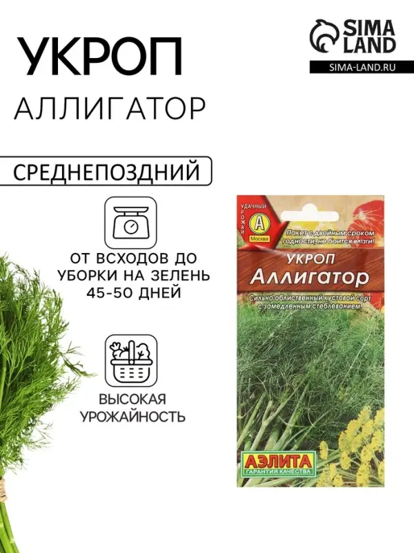 Семена Укроп "Аллигатор",  3г
