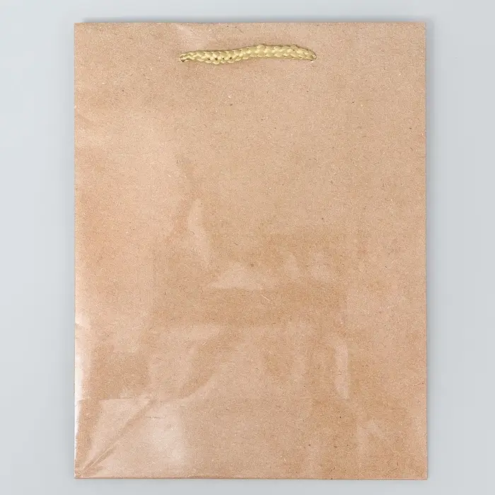 Пакет подарочный ламинированный, упаковка, «Крафт», MS 18 х 23 х 8 см