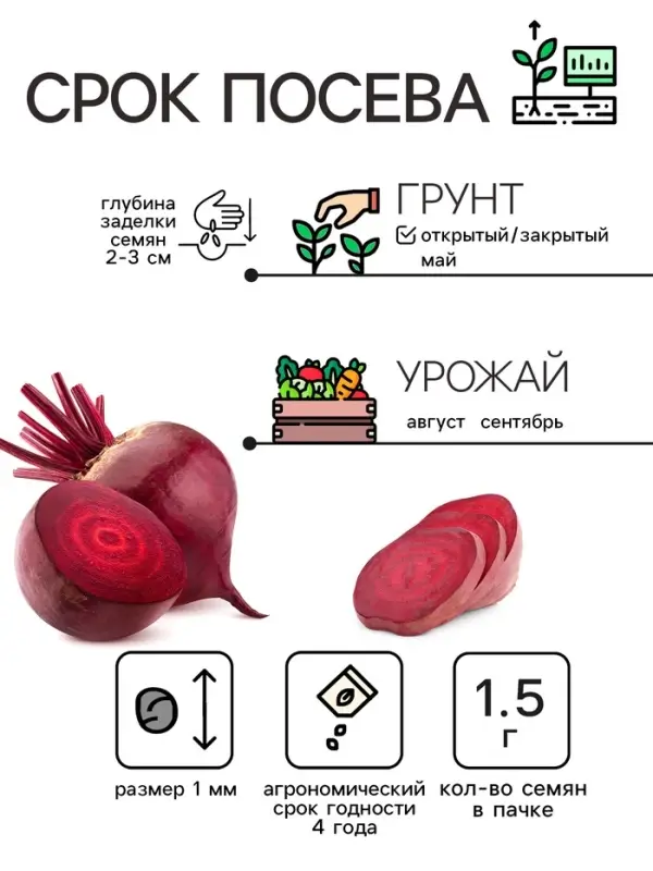 Семена Свекла столовая  Семена Свекла столовая "Детройт", 1,5 г