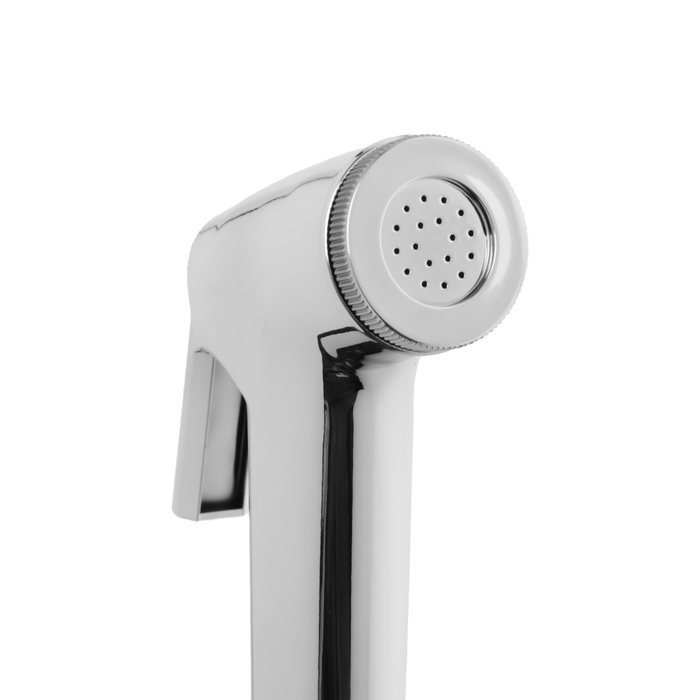 Гигиеническая лейка ZEIN Z4156, 2 режима, пластик, цвет хром Гигиеническая лейка ZEIN Z4156, 2 режима, пластик, цвет хром