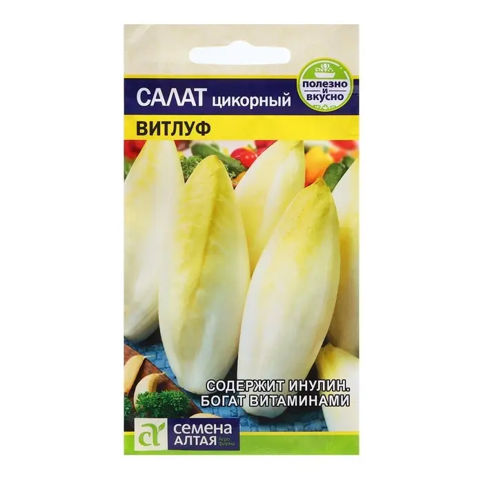 Семена Салат Семена Салат "Цикорий Витлуф", ц/п, 0,5 гр.