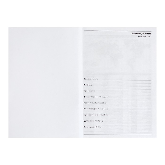 Ежедневник недатированный А5, 128 листов Ежедневник недатированный А5, 128 листов "ГЕРБ РФ", твёрдая обложка, глянцевая ламинация, сине-красный