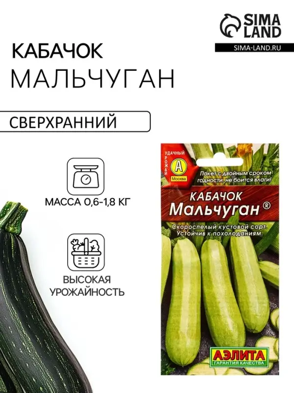 Семена Кабачок белоплодный &laquo;Мальчуган&raquo;, 1 г, &laquo;АЭЛИТА&raquo;