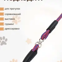 Ринговка для собак, 150&times;0.6 см, с вертлюгом, красная, синяя