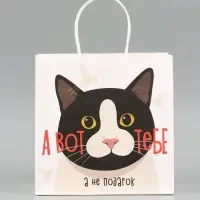 Пакет подарочный крафтовый &laquo;А вот подарок&raquo;, 22&times;22&times;11 см