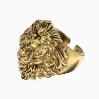 Кольцо &laquo;Перстень&raquo;, лев, цвет чернёное золото, безразмерное