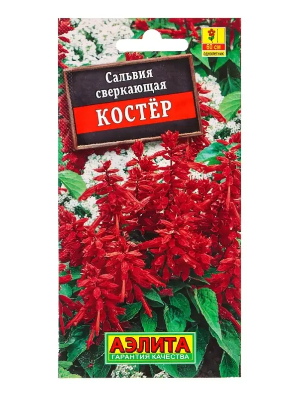 Семена цветов Сальвия Костер , Ц/П,0,1 г Семена цветов Сальвия Костер , Ц/П,0,1 г