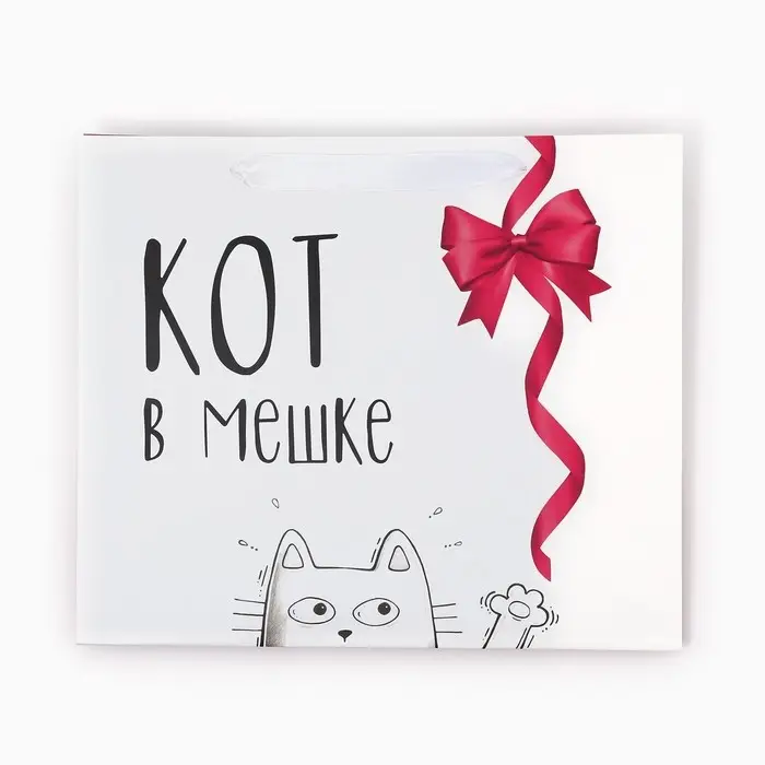 Пакет подарочный ламинированный, упаковка, &laquo;Кот в мешке&raquo;, ML 23&times;27&times;11.5 см