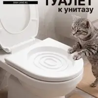 Туалет для приучения кошек к унитазу 39.2&times;38.7&times;3 см, белый