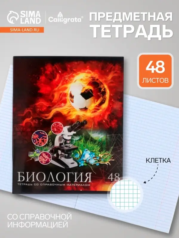 Предметная тетрадь по биологии Calligrata &laquo;Футбол&raquo;, 48 листов, в клетку, со справочным материалом, обложка из мелованного картона