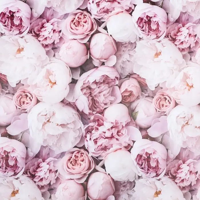 Бумага упаковочная, глянцевая «Весенний букет пионов», 40×60 см