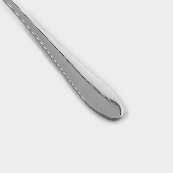 Ложка барная из нержавеющей стали «Милано», длина 19,5 см, цвет серебряный Ложка барная из нержавеющей стали «Милано», длина 19,5 см, цвет серебряный