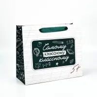 Подарочный пакет с открыткой &laquo;Классному классному&raquo;, 23 &times; 27 &times; 11,5 см