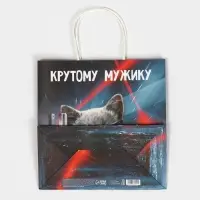 Пакет подарочный, упаковка, &laquo;Мужику&raquo;, 22 х 22 х 11 см