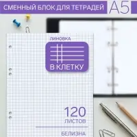 Сменный блок для тетрадей на кольцах А5, 120 листов, в клетку, Calligrata, блок офсет № 160 г/м&sup2;, белизна 100%