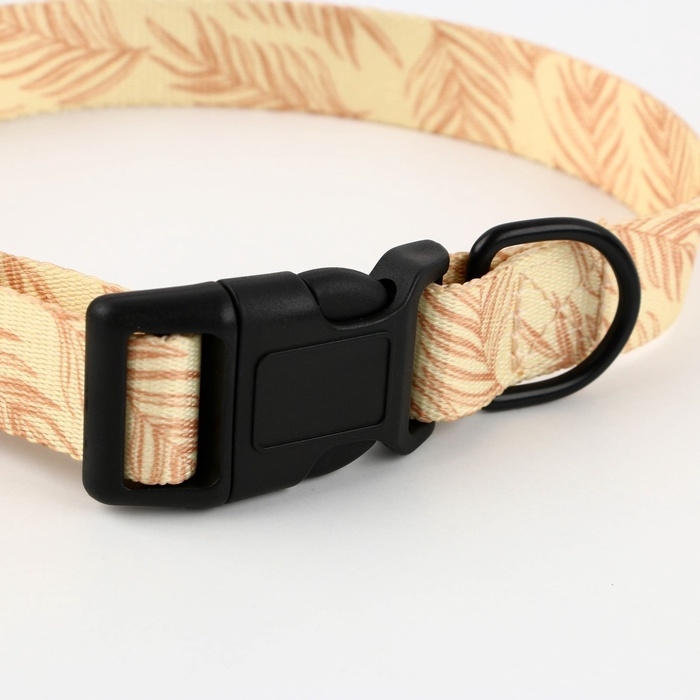 Ошейник Paradise life, застёжка - фастекс, 2.5 см, 40-55 см Ошейник Paradise life, застёжка - фастекс, 2.5 см, 40-55 см