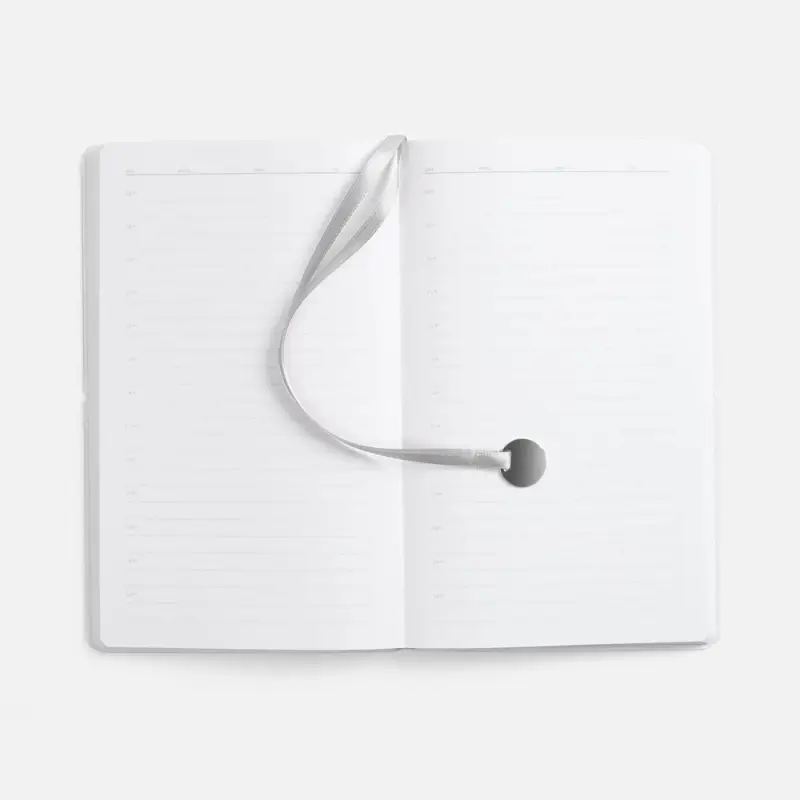 Ежедневник Waltz, недатированный, серебристый Ежедневник Waltz, недатированный, серебристый