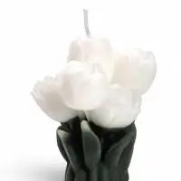 Свеча интерьерная &laquo;Тюльпаны&raquo;, 95 г, 6.5&times;6&times;8.5 см