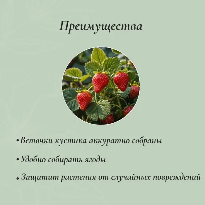 Кустодержатель для клубники, d=20 см, h=25 см, ножка d=0.3 см, металл, зелёный, Greengo