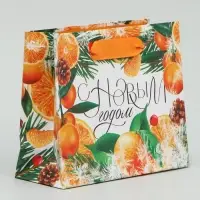 Пакет подарочный новогодний ламинированный &laquo;Новогоднее настроение&raquo;, S 15 х 12 х 5.5 см