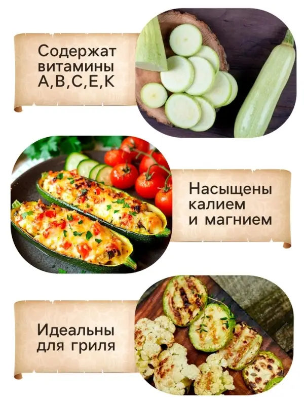 Семена Кабачок белоплодный  Семена Кабачок белоплодный "Грабовский", 0,5 г