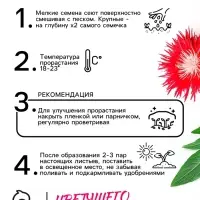 Семена   Астра Ажурная россыпь, смесь окрасок , 0,2г