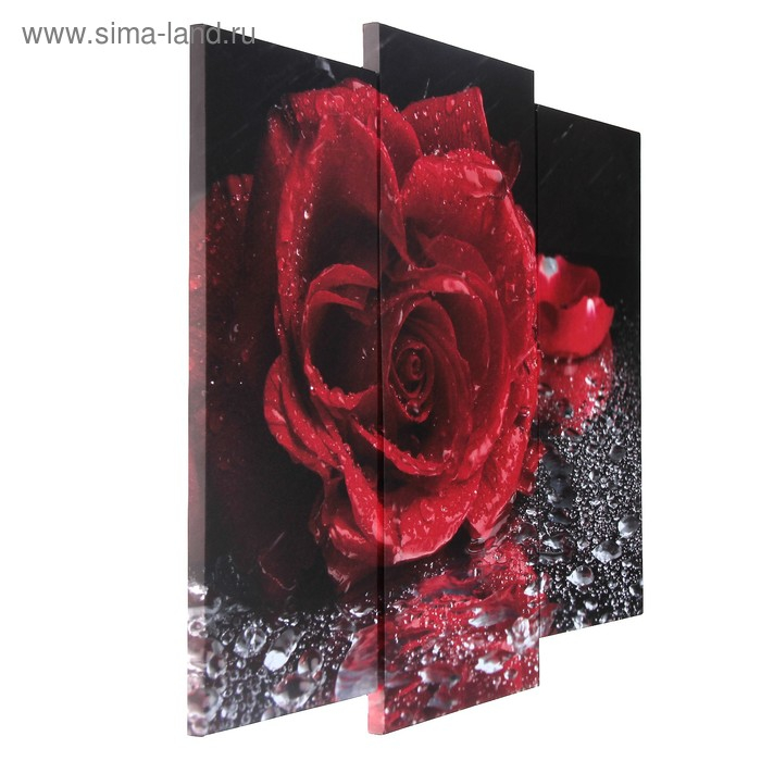 Модульная картина  Модульная картина "Роза под дождём"  (2-25х52; 1-30х60) 60х80 см