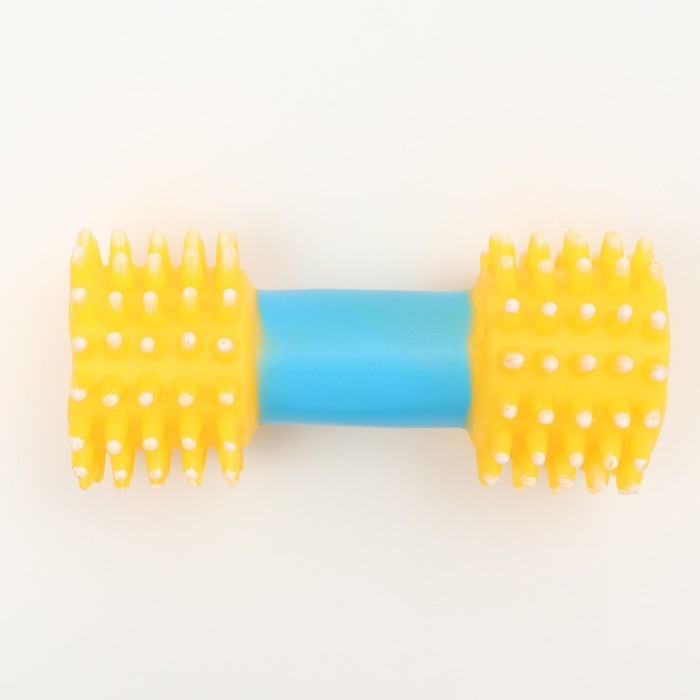 Игрушка для собак пищащая Игрушка для собак пищащая "Массажная гантель", 14 см, жёлтая/голубая