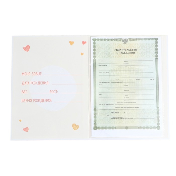 Папка для свидетельства о рождении «Медвежонок», 23,5 х 31,5 см. Папка для свидетельства о рождении «Медвежонок», 23,5 х 31,5 см.